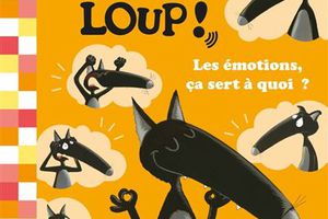 Dis-moi, Loup : Les émotions, ça sert à quoi ? #1 Introduction