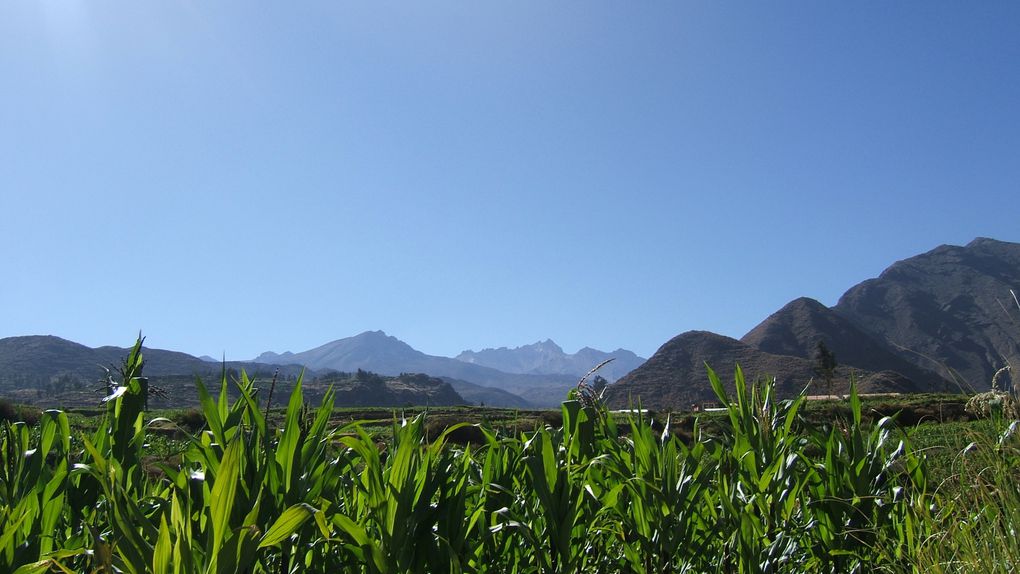 Album - Arequipa et Canyon de Colca