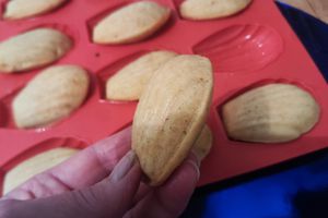 GÂTEAU POMMES VANILLE 