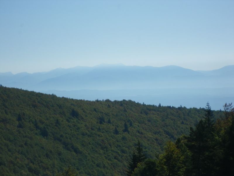 Album - 040-Mont-Ventoux-2011