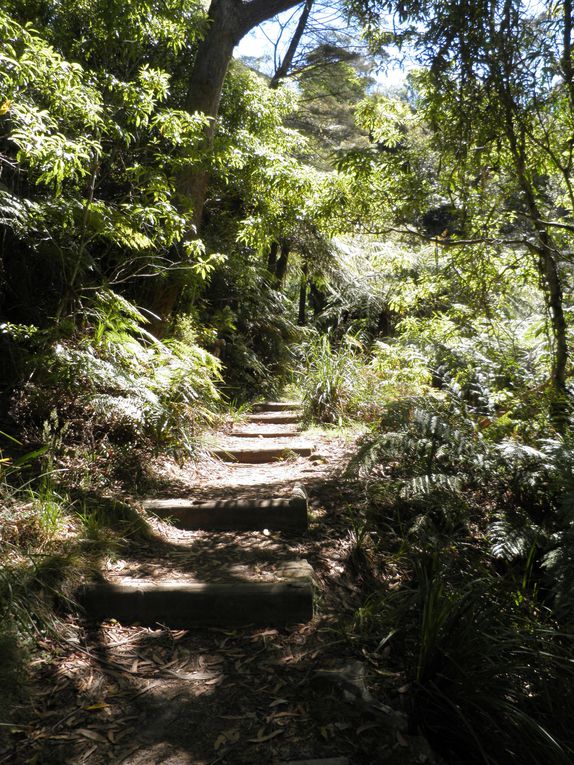 Par National des Blues Mountains, Katoomba (près de Sydney)