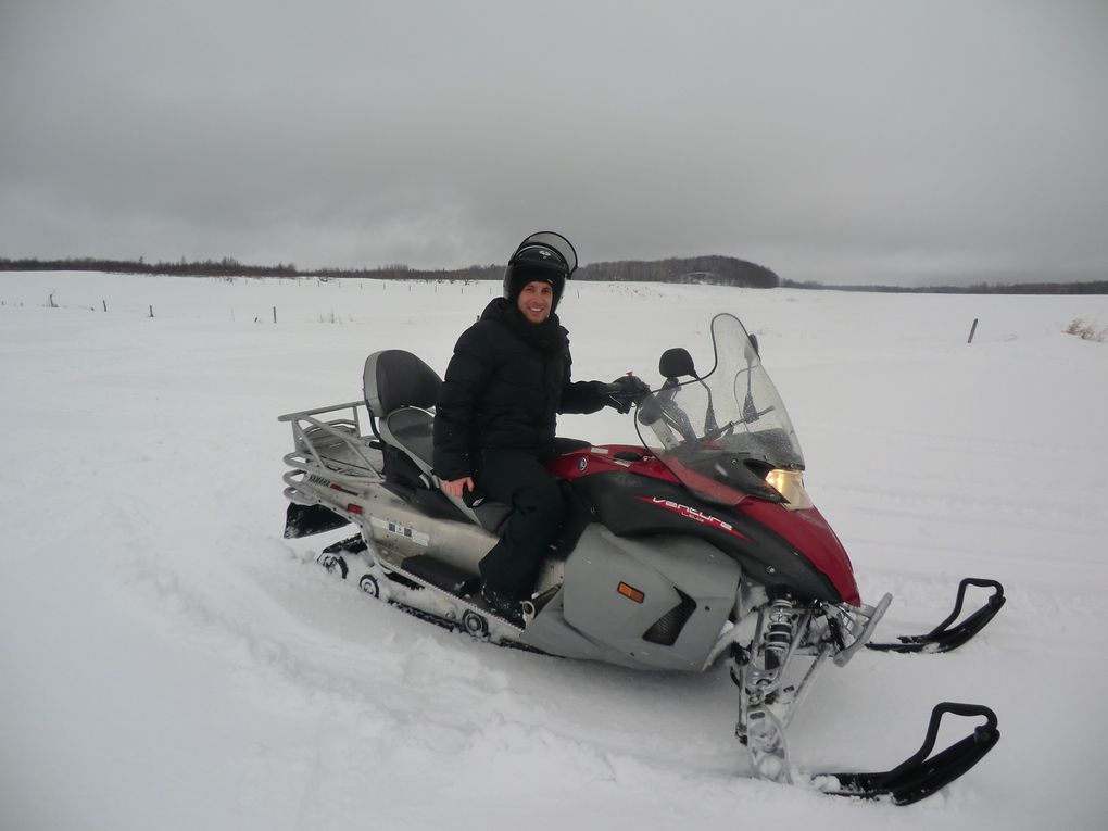 Igloo, moto neige et chien de traîneau ...