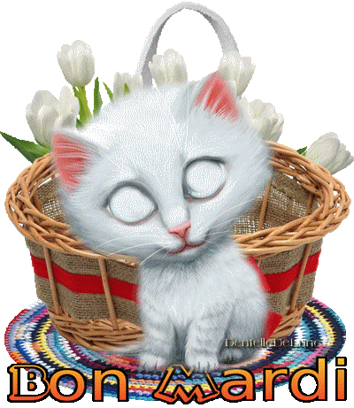 Gif Anime Bon Mardi Avec Mignon Petit Chaton Les Gifs Animes De Dentelledelune