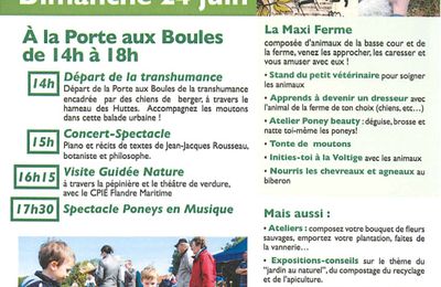 BALADE NATURE & MUSIQUE