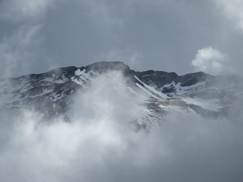 Les Pyrénées, la Fouine et un âne de Bretagne.