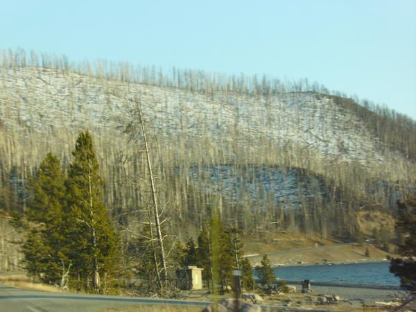 Album - Yellowstone NP