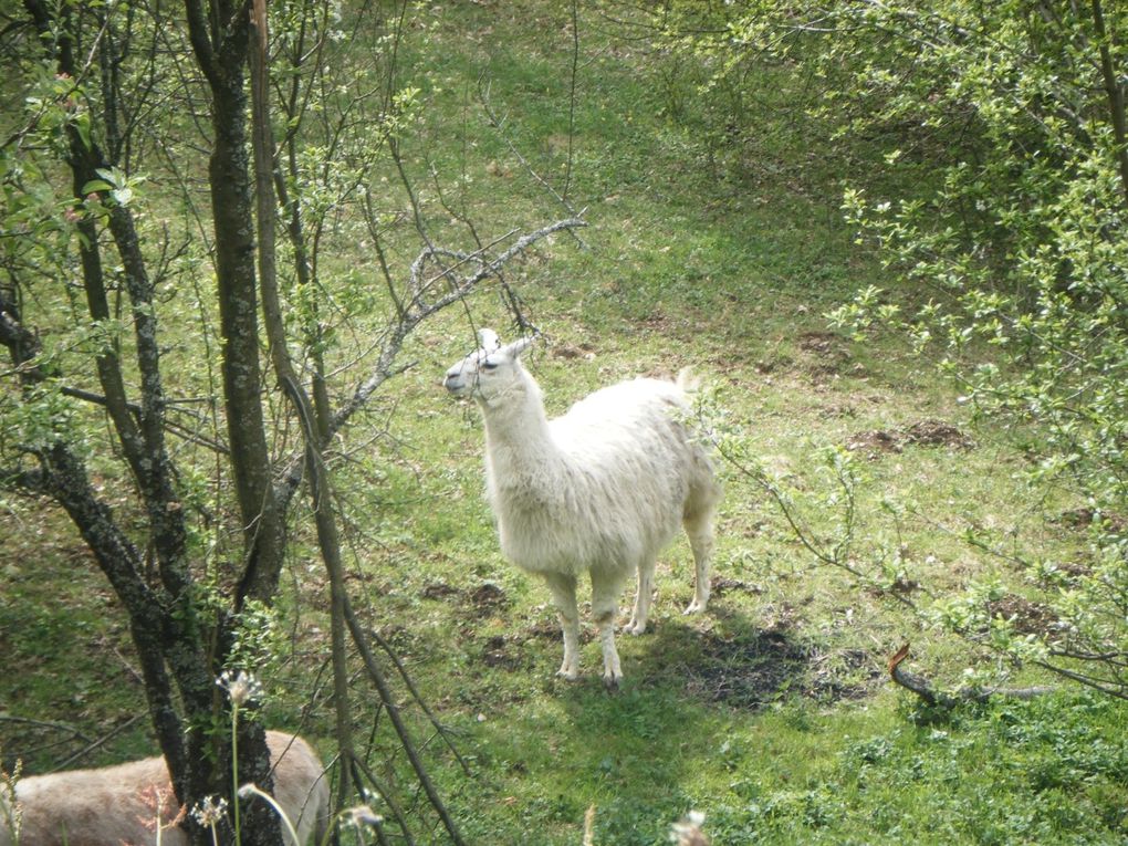 Album - savoie images de paysages