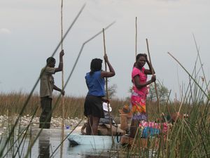 Botswana Delta de l'okavango