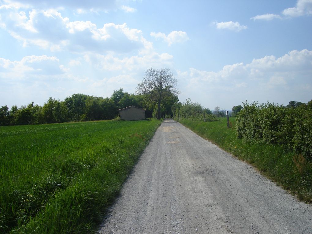 Diverses randonnées, essentiellement dans le Tarn