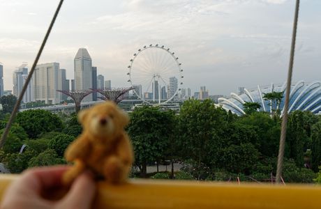 Singapour Juillet 2019 - Teddy s’envoie en l'air