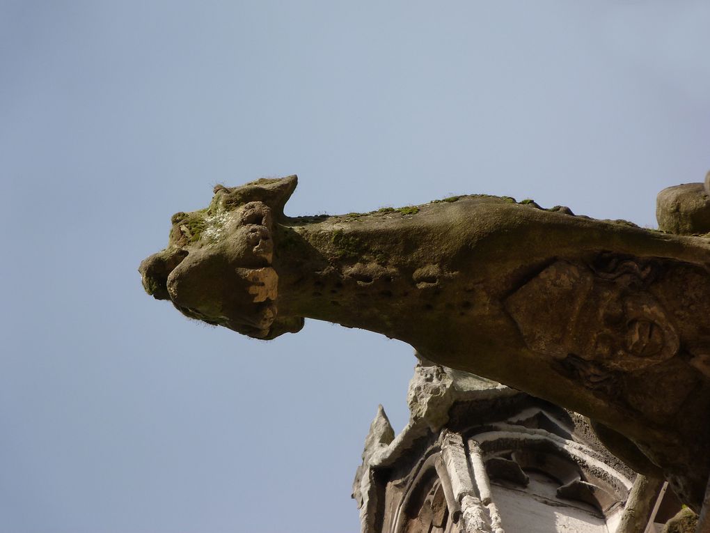 Album - Abbaye de St-ouen - Rouen