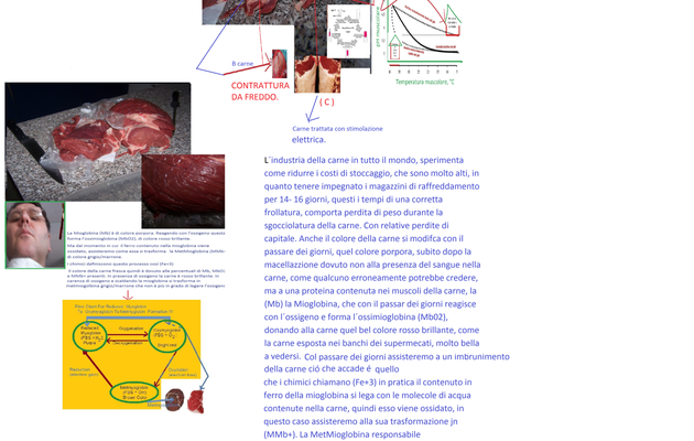 Intenerimento della carne