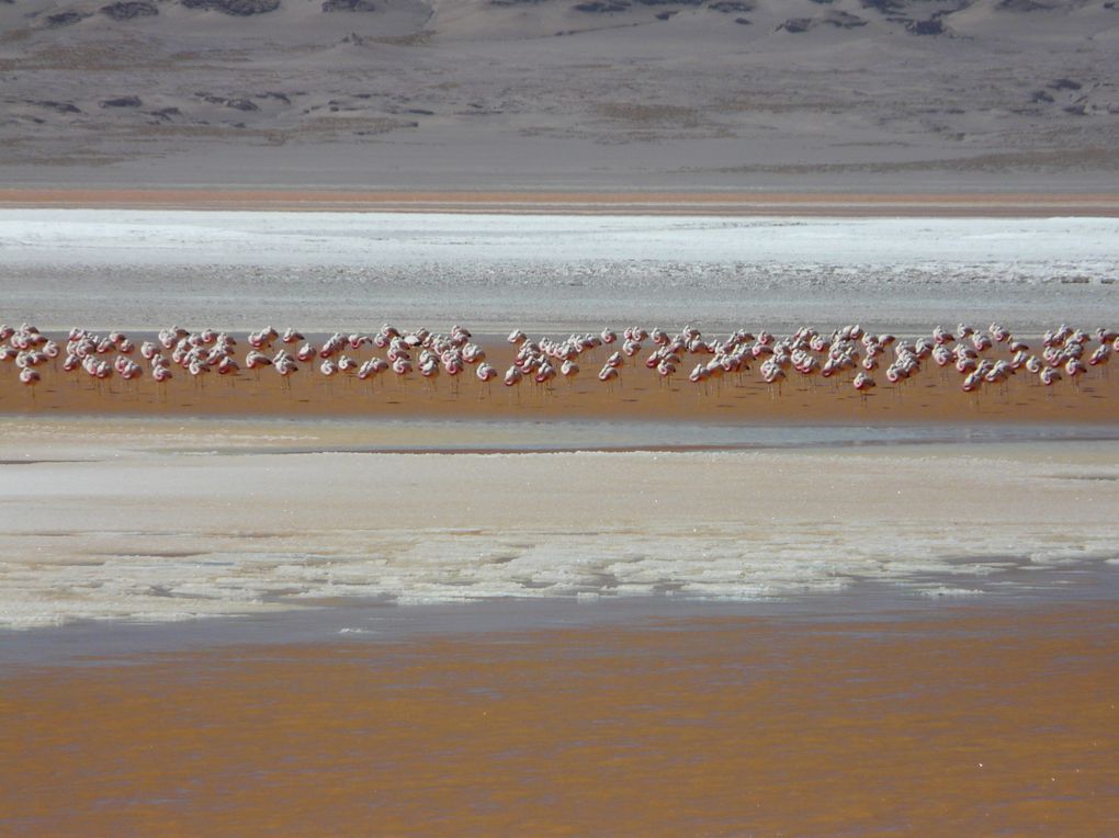 Album - 19-EL-SALAR-D-UYUNI