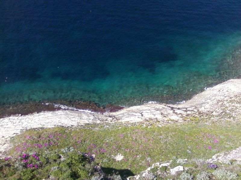 Des coins de la corse du sud