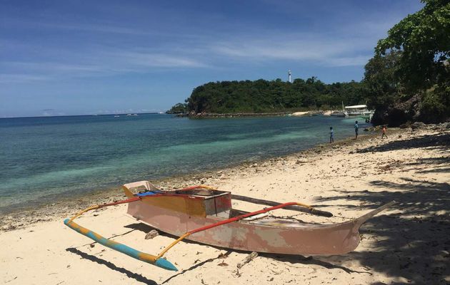 DAY140: Cebu, Malapascua, scuba diving in Lapus Shallow 