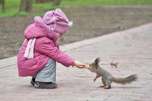 Very Cute and Beautiful Kid feeding little Squirrel