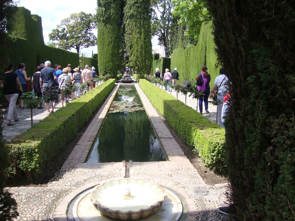 Les jardins fleuris de l'Alhambra