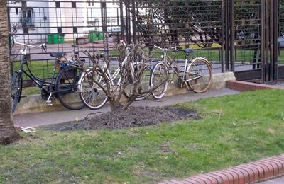 Vélo dans Square le 7 février 2015