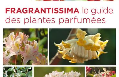 Les plantes les plus parfumées