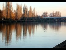 Sur la Seine... Reflets du Soir...