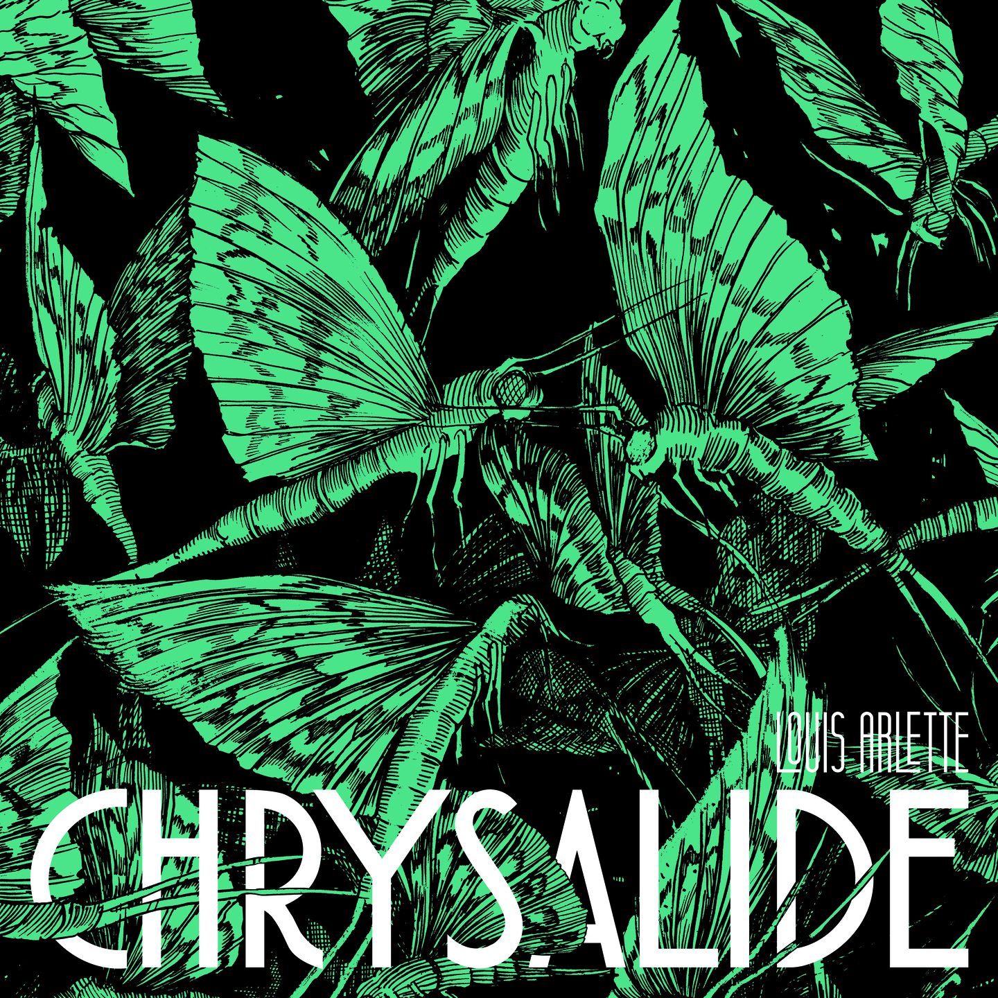 Louis Arlette dévore mots avec Croque Odile l'album Chrysalide