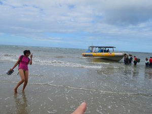 Cape Tribulation, snorkelling sur la barrière de corail