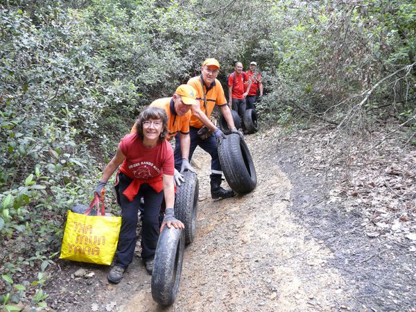 Nettoyage dans les bois de Bouqeyran 