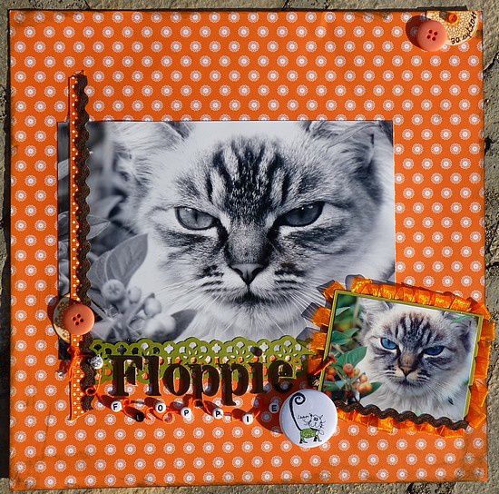 Album - Mes pages de scrap