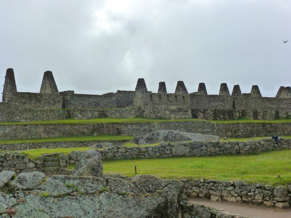 Découvrez l'album de mon "avant-dernier pays". Comme vous pourrez le voir, le Pérou est un pays riche en couleurs, en architecture, en sites incas incroyables etc... Enjoy!!