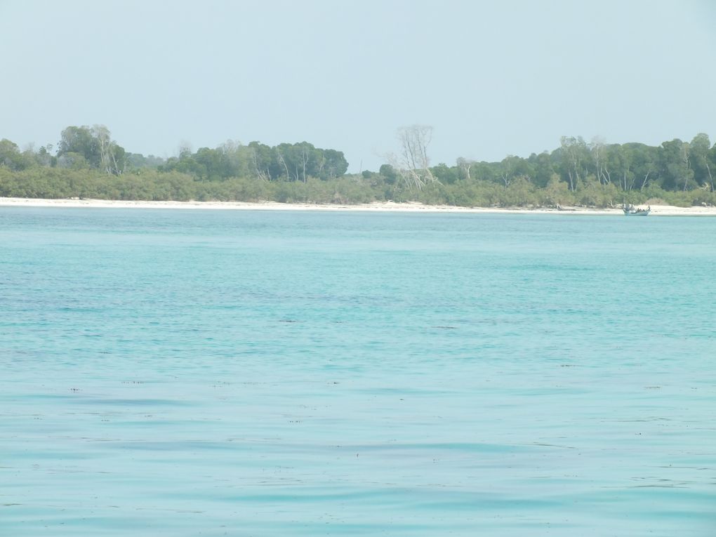 journée de repos sur l'île de Moucha!!! une eau turquoise de pure beautée!