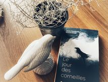 Le jour des corneilles 