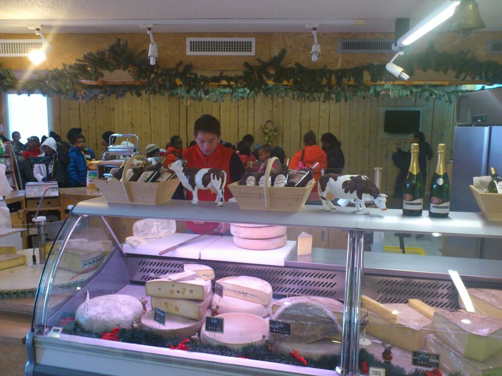 Album - 07-02-2012-La-fromagerie-des-Moussieres