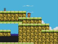 Quelques capture de Little Samson sur NES (1992)