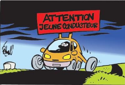 Conducteur novice à la Macif