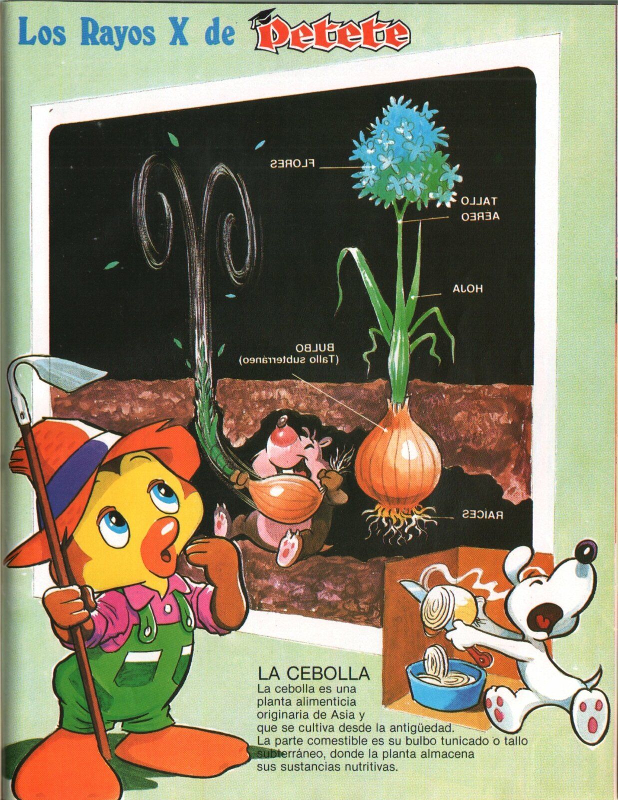 Revista Petete...Vol...6