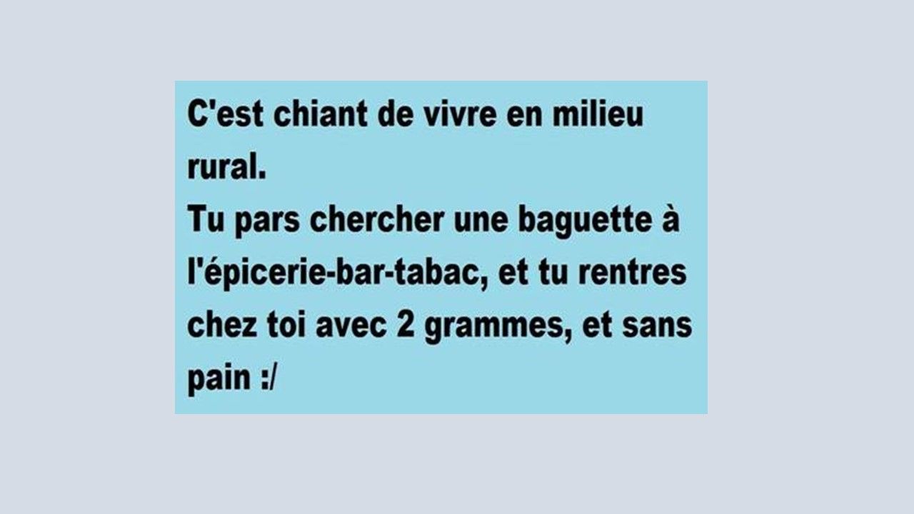 Divers - Le sourire du matin