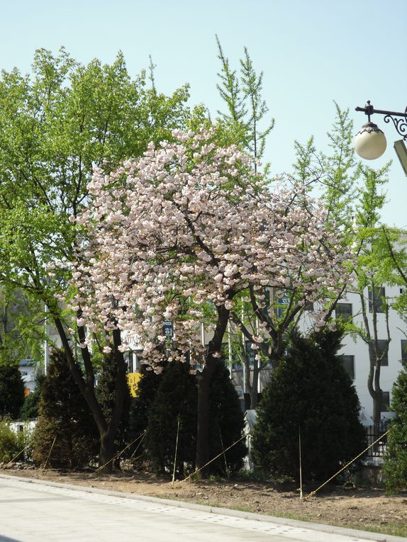 Album - Jeolla-do 2 Jeonju