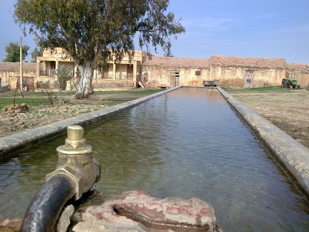 ville en Algerie commune de la daira de Machraa sfa wilaya de de Tiaret ou se trouve la mosqué de iben khaldoune et bien d'autres choses.