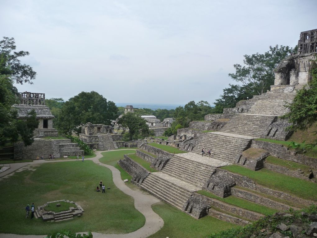 Album - 32.Palenque (mex-nov.)