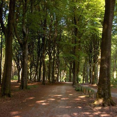   le blog heuvelland par : Aurélie et Mic