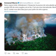 Amazonie : l'illettrisme scientifique au plus haut niveau de l'État