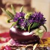 Un bouquet de fleurs dans une aubergine