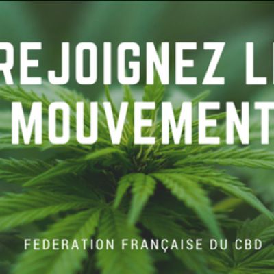 Création d’une fédération française du CBD