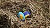Instant musical et chasse aux oeufs