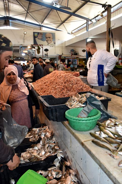  LE MARCHE ET LE SOUK DE MONASTIR (2)