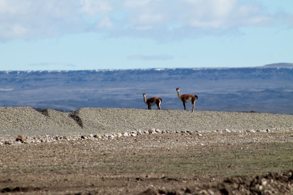 Magnifique Patagonie !!!!