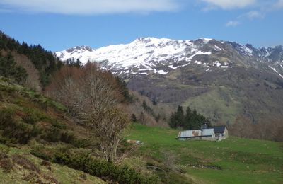 Au lac d'Estaens début mai