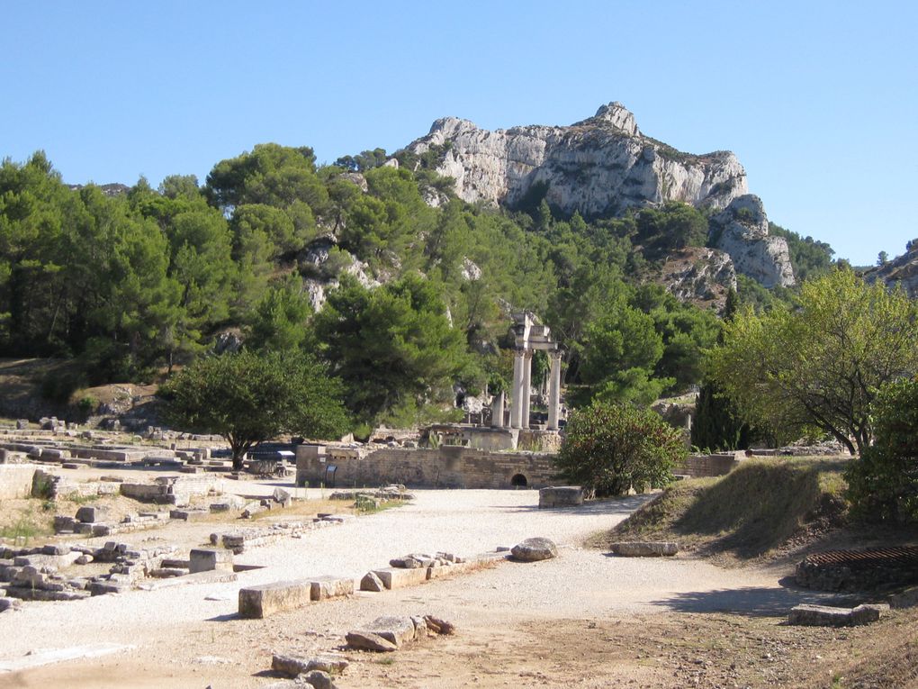 Les Antiques puis le site du Glanum : ancienne ville qui doit son existence à la présence d'une source venant des Alpilles.