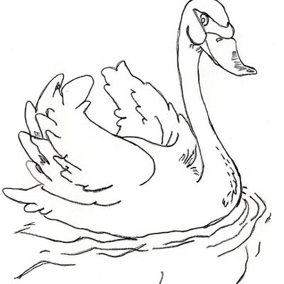 J'aime le dessin mais j'ai besoin d'un modèle...