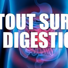 Tout SAVOIR sur la DIGESTION